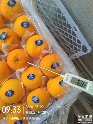 Orange Fruit (Imported)