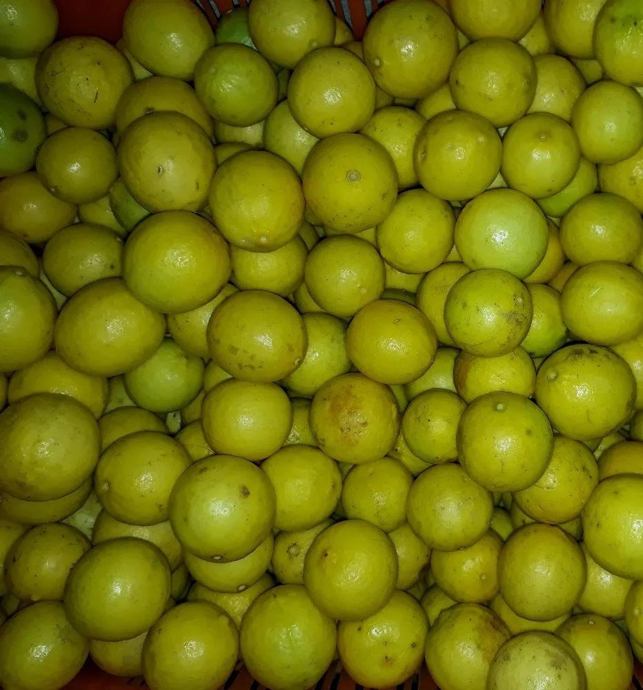 Lemon Yellow