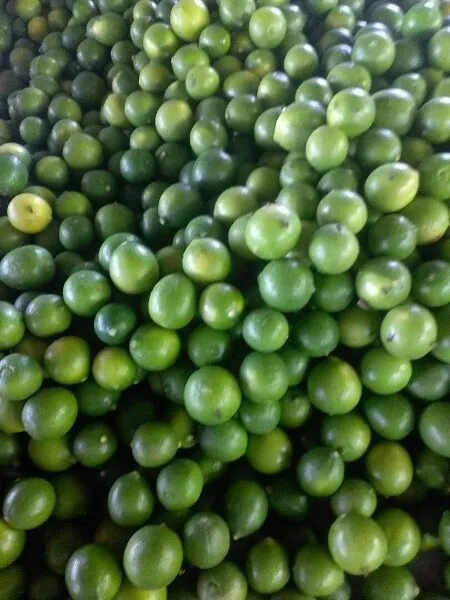 Lemons