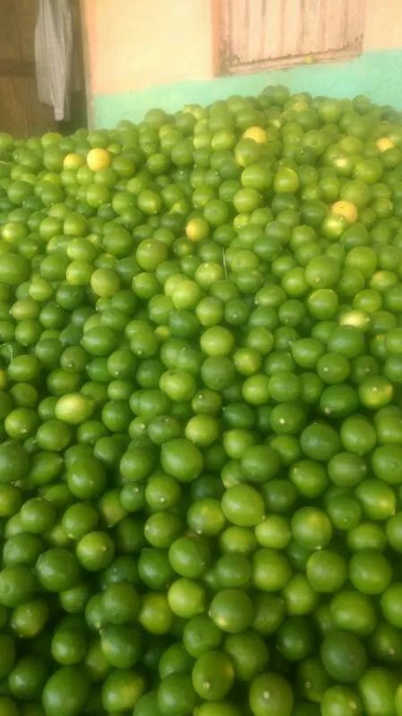 Green Lemon