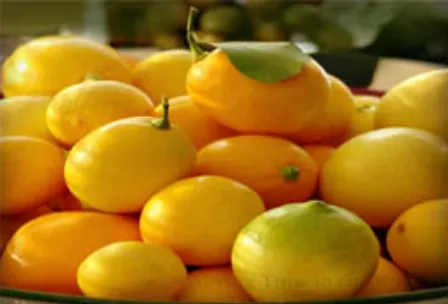 Lemon