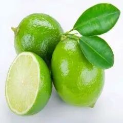 Lime