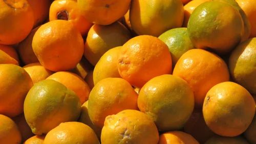 Fresh Nagpur Navel Orange, Packaging Type: Loose