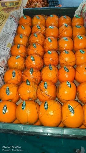 Orange A Grade Kinnow Fruit, Packaging Size: 10 Kg, Packaging Type: Carton