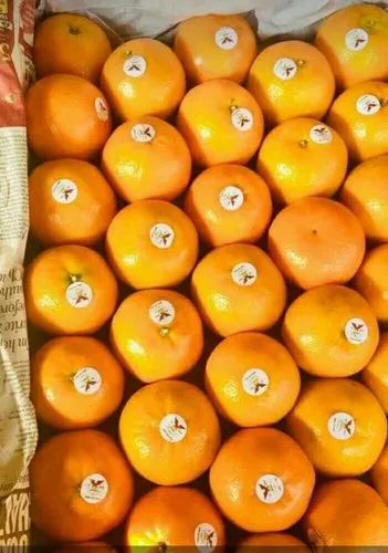 Fresh Kinnow