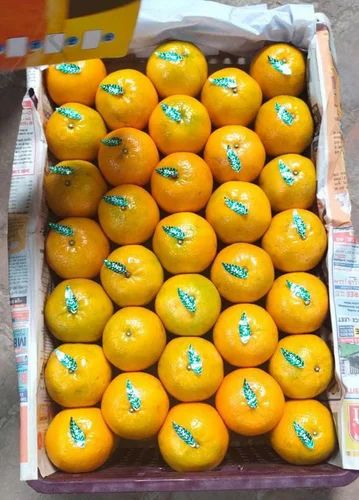 Kinnow Orange (20 kg)