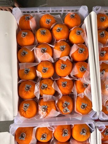 China Mandarin