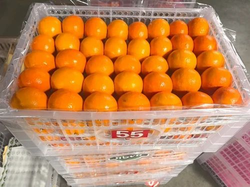 Mandarin Orange