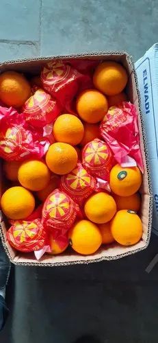 A Grade Cairo Valencia Orange, Packaging Size: 15