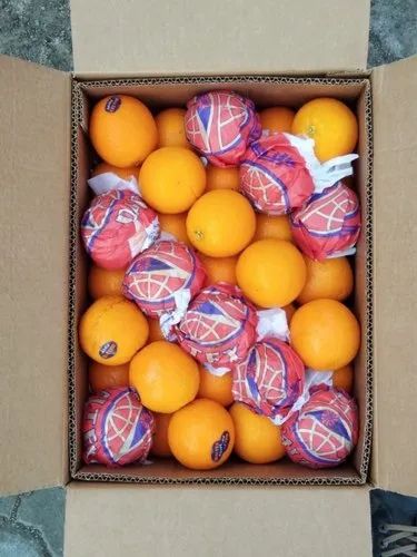 Valencia Citrus Orange