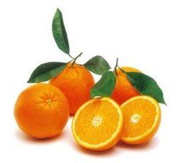 Valencia Oranges