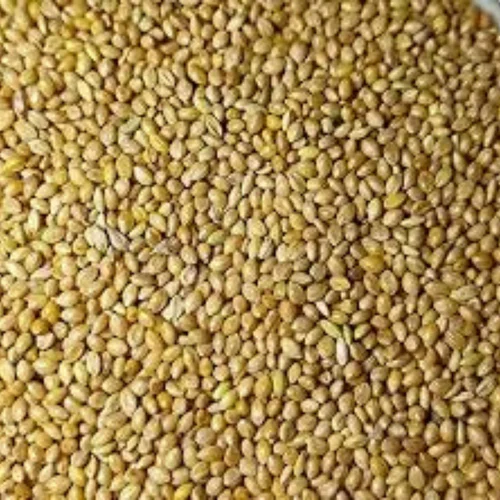 Pack Kagni Barik 500 gm