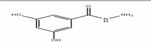 3,5 Dihydroxy Benzhydrazide