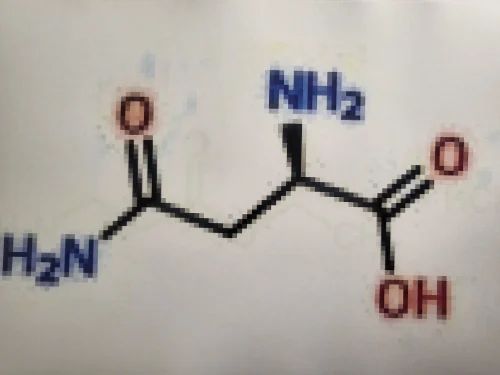 2,4-Thiazolidinedione CAS2295-31-0