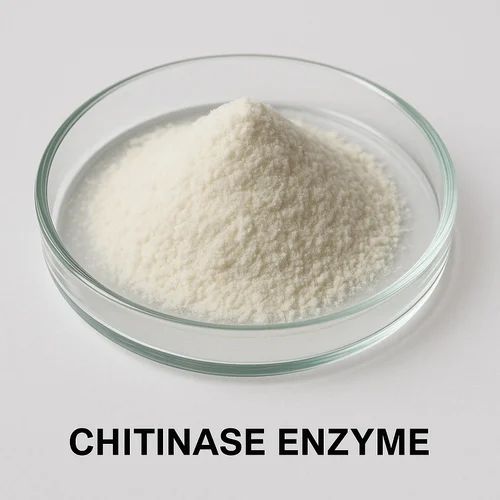 Chitinase Enzyme