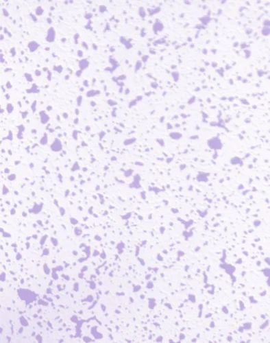 Dual Spray Bubble Texture Coating, 10 L