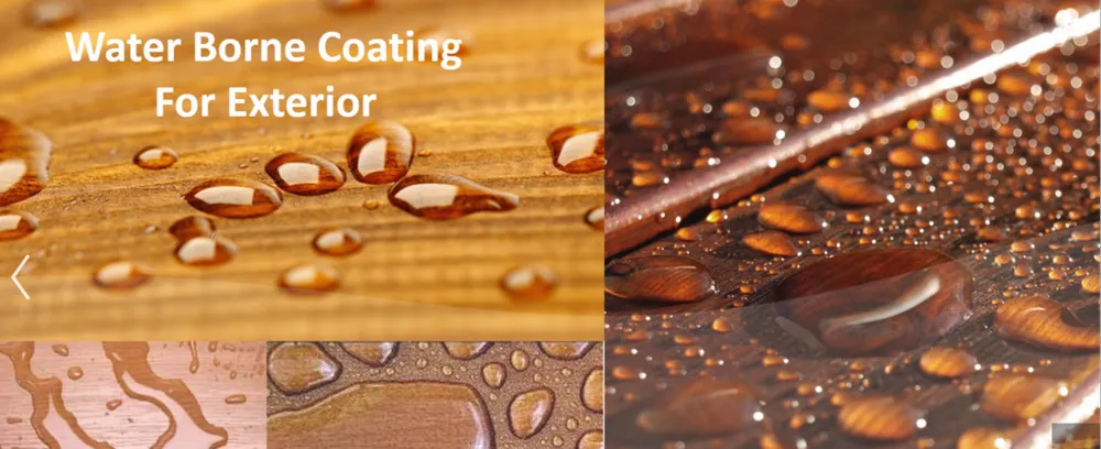 Water Borne Coating For Exterior