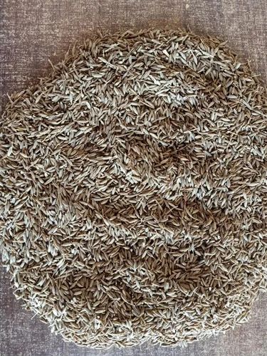Brown Cumin Seeds, Singapore 99.5%