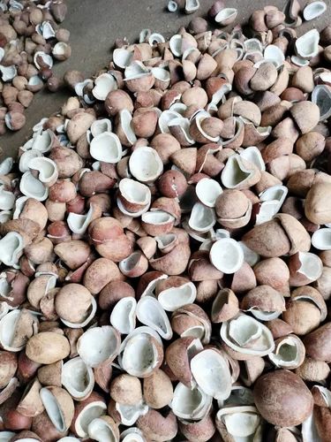 Half Cut Brown Dry Coconut Copra, Packaging Size: 25 kilo bags, Packaging Type: Sacks