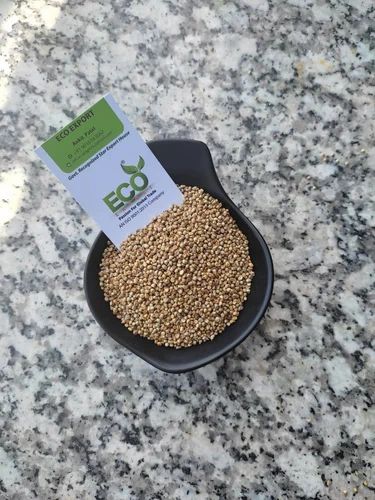 New Crop Green Millet