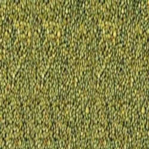 Green Millet (Bajra)