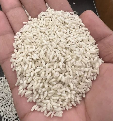 Long Grain Rice Seed Supplier