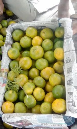 A Grade Maharashtra Fresh Nagpur Oranges, Packaging Size: 10 Kg, Packaging Type: Carton
