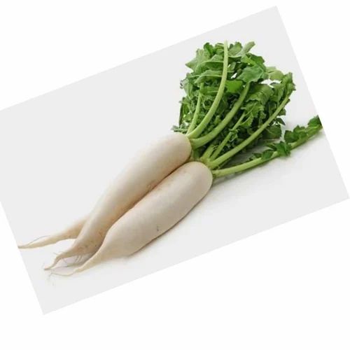 Pan India A Grade Fresh Radish Healthy, Packaging Type: Carton, Packaging Size: 20 Kg