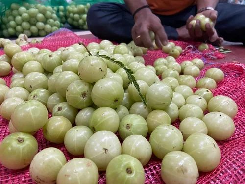 Fresh Amla Fruit