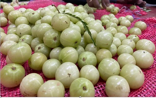 Amla