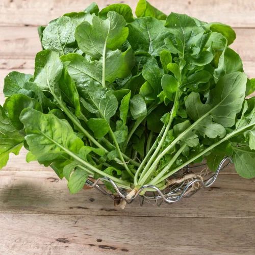 Rocket Aragula Lettuce
