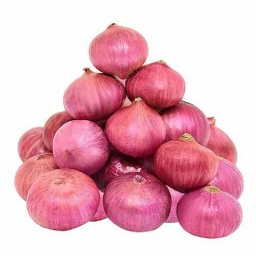 Onion, Onion Size: 60 mm