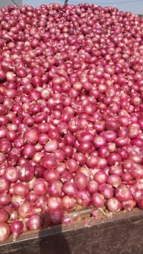A Grade Red Onion (35-45mm) - 50 Kg