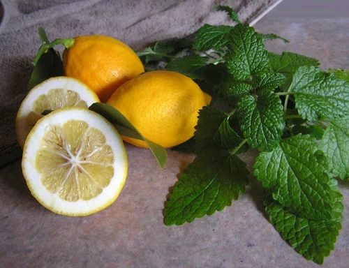 Medium Seedless Fresh Lemon
