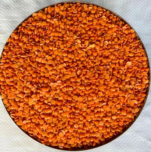 Whole Red Lentil Masoor Dal, Mahadev Overseas