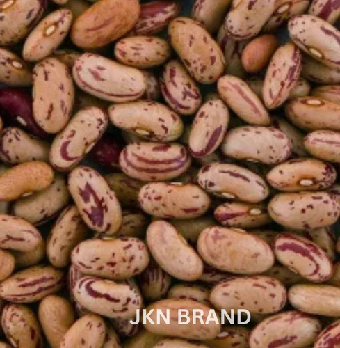 Red Rajma Organic Kidney Beans, 50 Kg