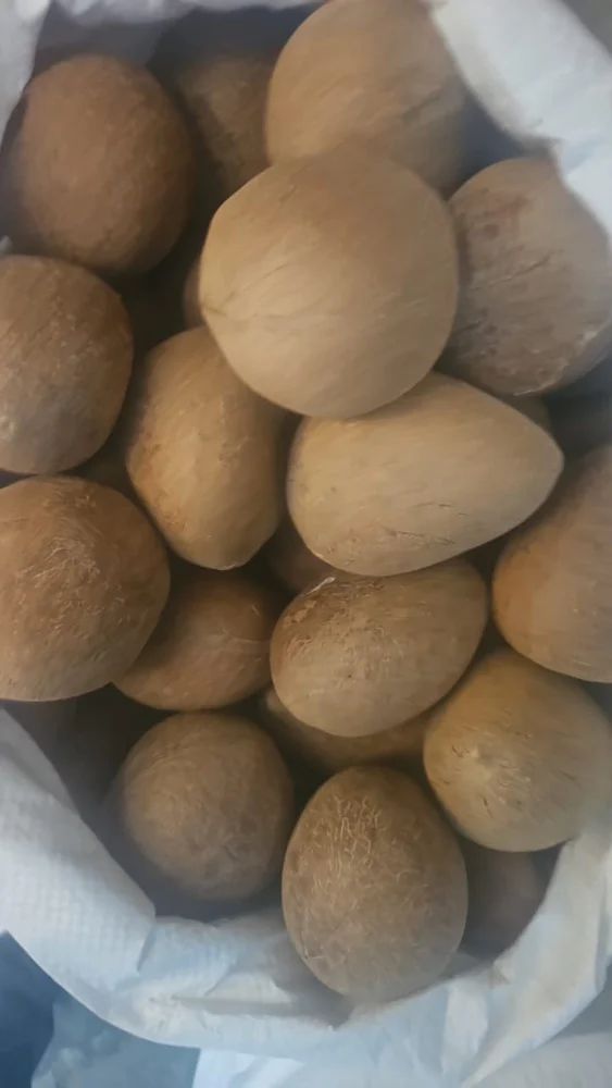 Whole Dried Coconut Ball Copra