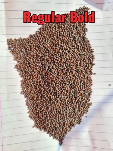 Orelia F1 Seed