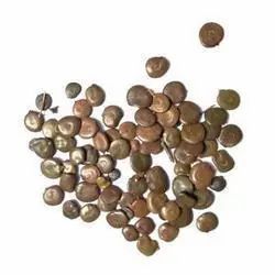 Khair Seed