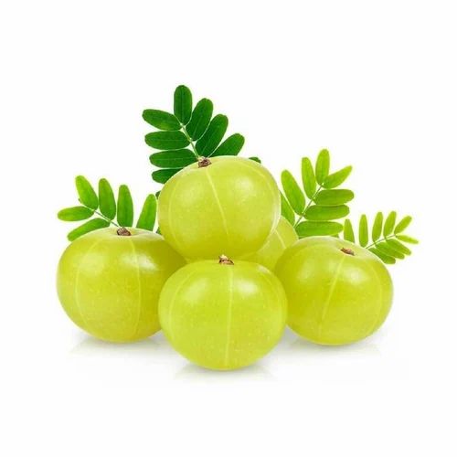 Orange A Grade Organic Amla Fruit, Packaging Size: 10 Kg, Packaging Type: Gunny Bag