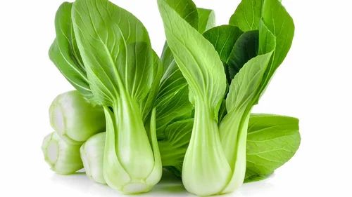 A Grade Green Pak Choi