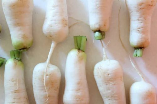 Frozen Raddish (Mooli)