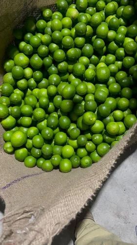 Fresh Green Lemon