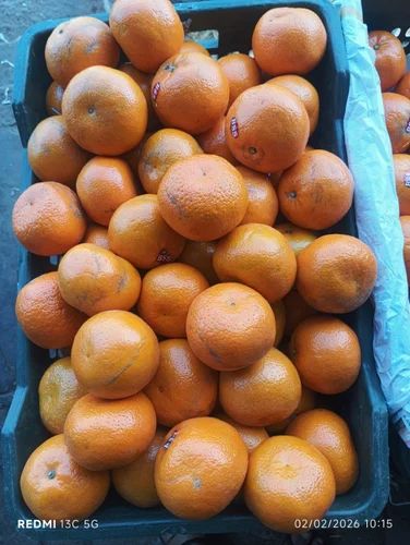 Fresh Orange Fruit