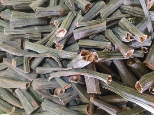 Dehydrated Outside Green Dry Drumstick, Packaging Type: Plastic, Moringa Olifera