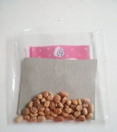 Charoli Chironji Seed