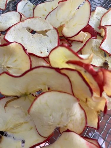 Dehydrated Fruits