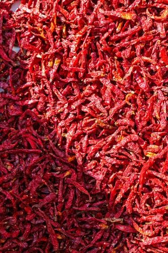Teja (S17) Dried Chillies & Pepper, Whole without Stem