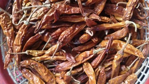 Dried Yellow Chilli, Whole with Stem