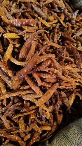 Yellow Chilli Dry, Whole without Stem